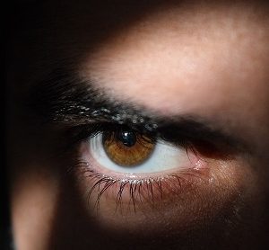 "Encounter with Spies" Grade 6