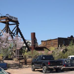 "Gold Rush 1851" Grade 5-7