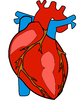 "Human Heart" Science Literacy Grade 6,7