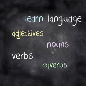 "Spelling Practice and Plurals" Grade 3