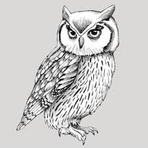 "Healesville Sanctuary" Grade 3