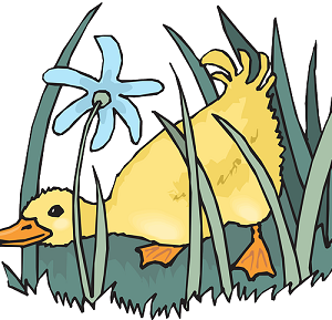 "Feeding the Ducks" Grade 2