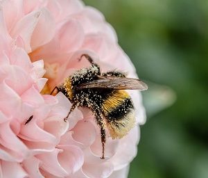 "Phrases and Clauses" Grade 6-7