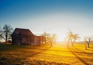 "Fresh Start" Literacy Grade 5-6