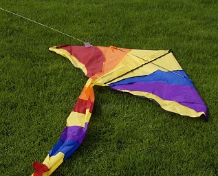 "Let's Make Kites" Literacy Grade 4