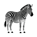 "Zebra's Story" Grade 4